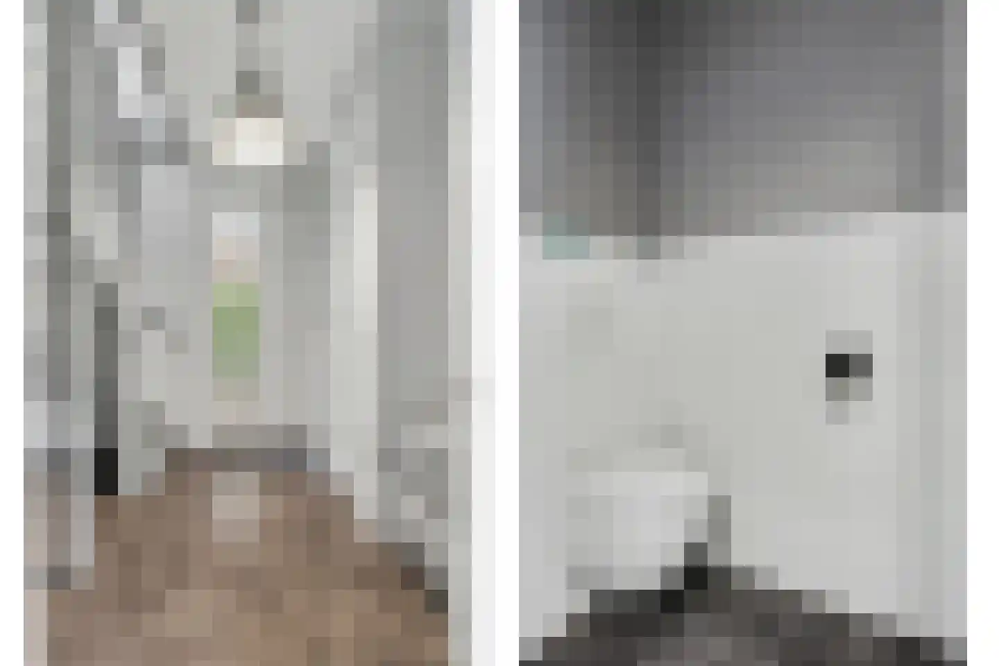 Jip en Janneke 19 Kapelle thumbnail 14