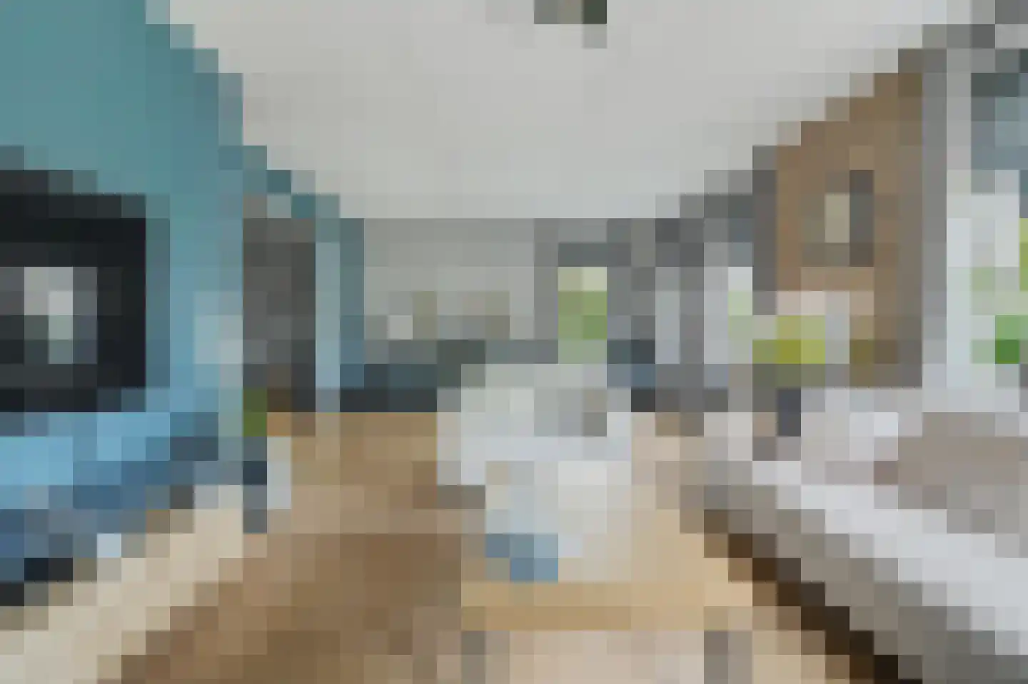 Jip en Janneke 19 Kapelle thumbnail 17