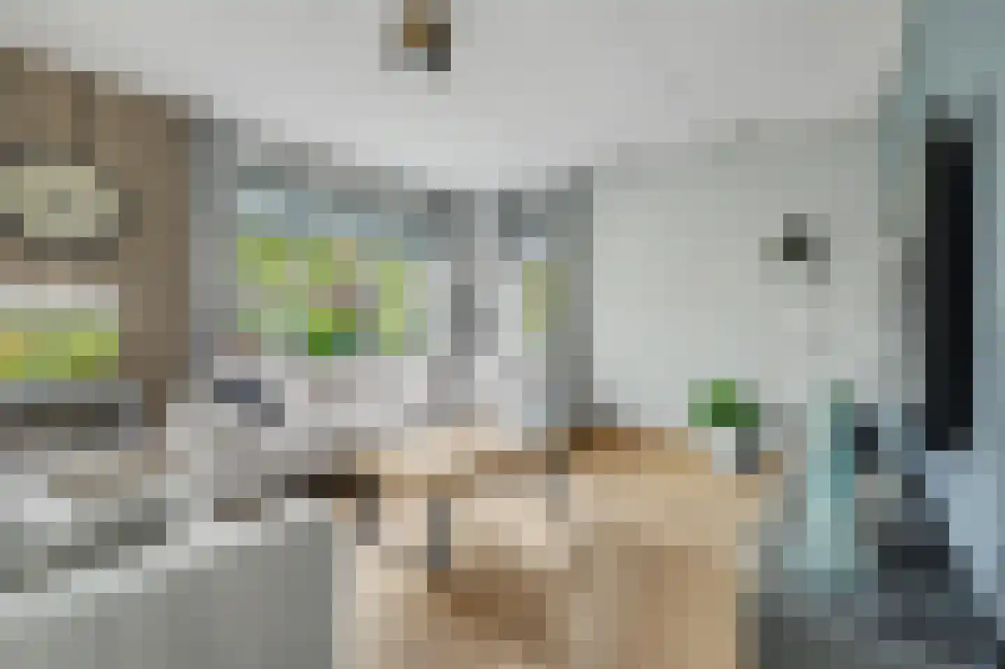 Jip en Janneke 19 Kapelle thumbnail 18