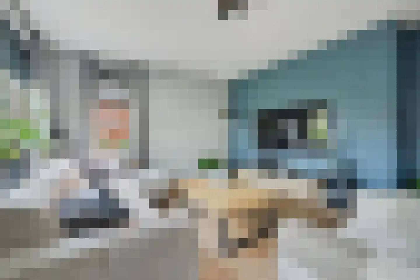 Jip en Janneke 19 Kapelle thumbnail 19