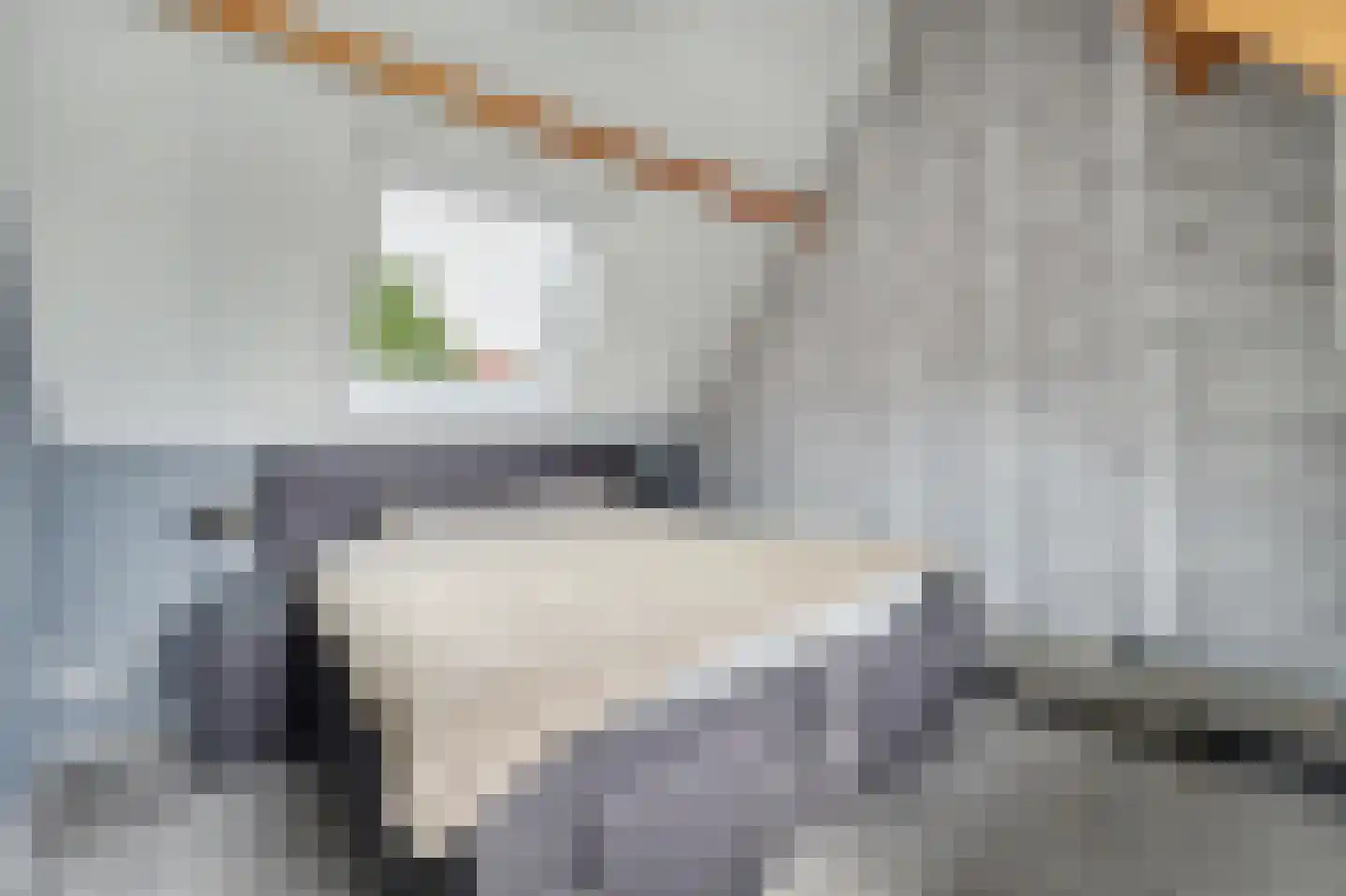 Jip en Janneke 19 Kapelle thumbnail 35