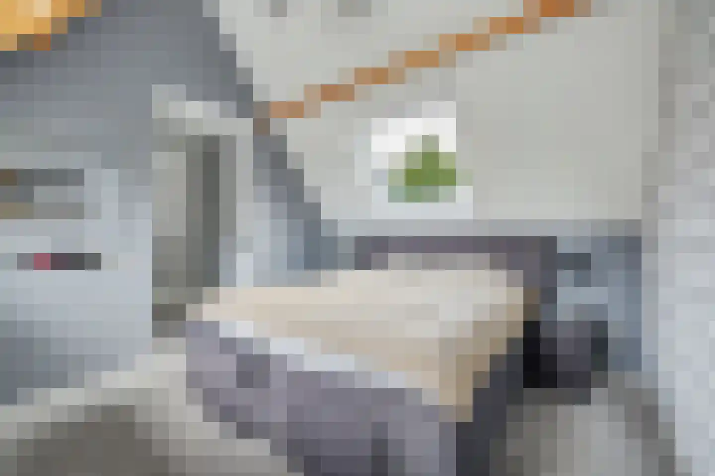 Jip en Janneke 19 Kapelle thumbnail 36