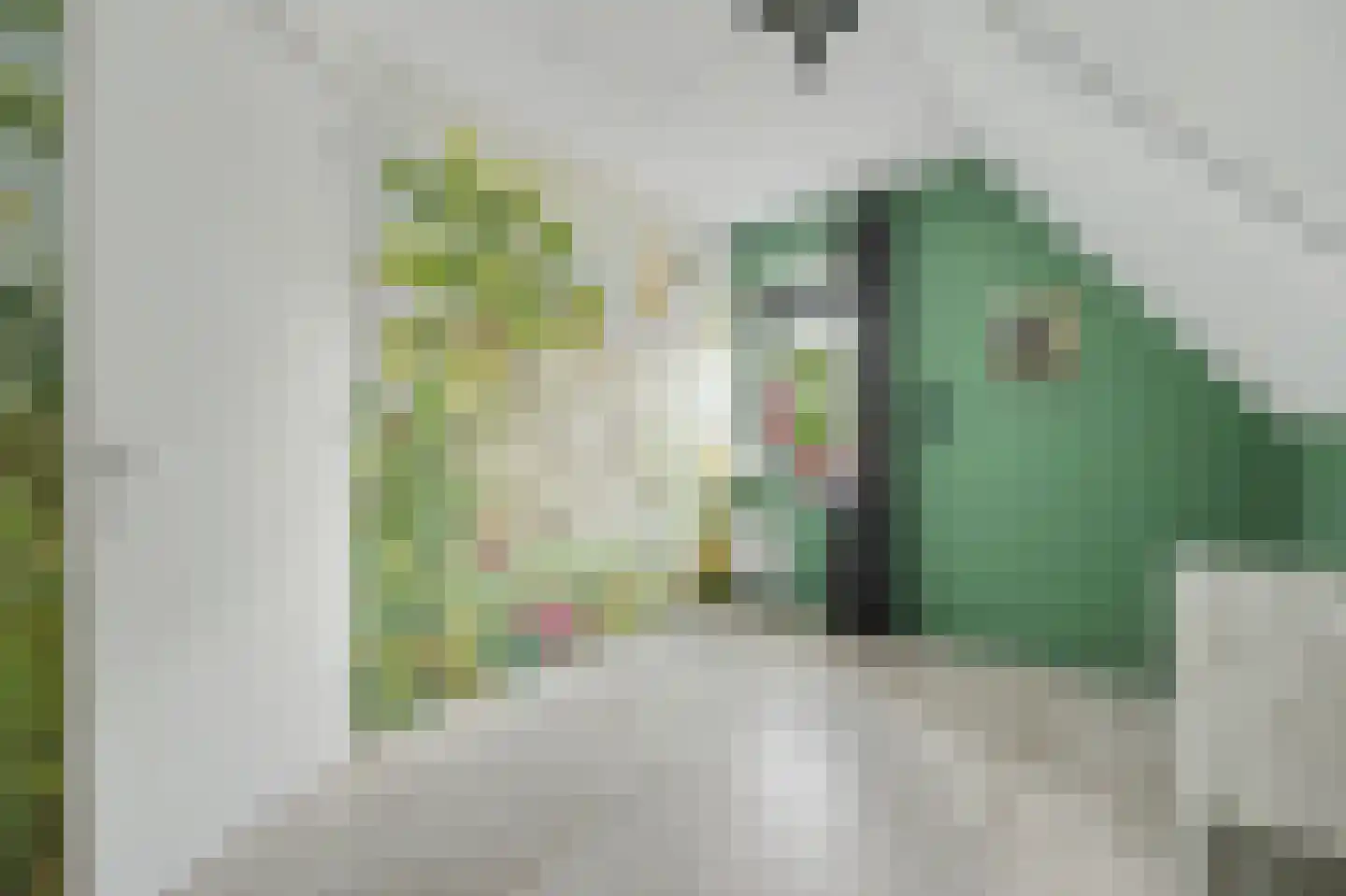 Jip en Janneke 19 Kapelle thumbnail 40