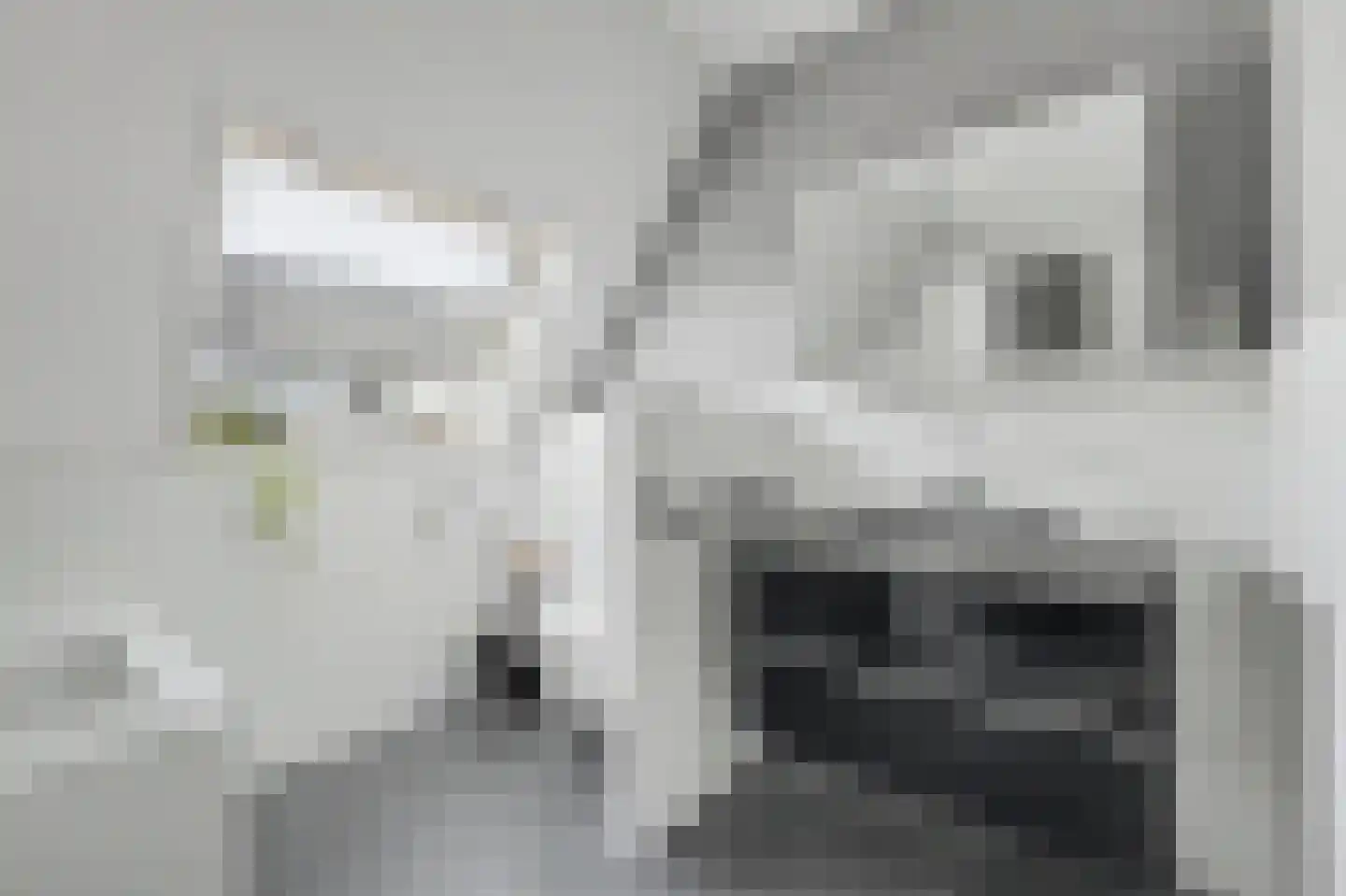 Jip en Janneke 19 Kapelle thumbnail 44