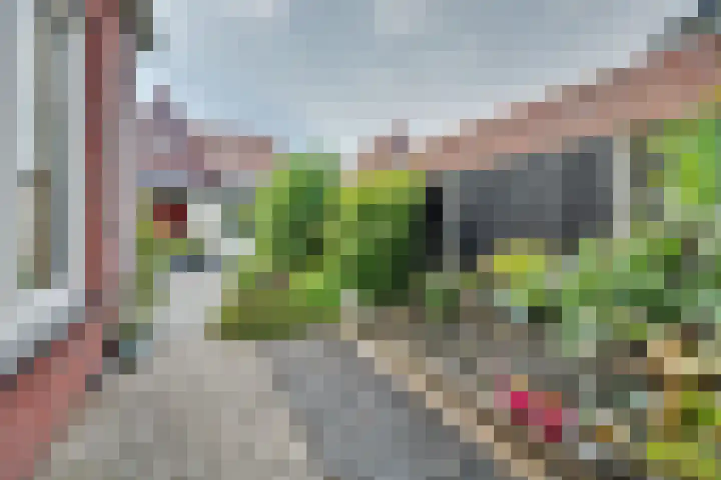 Jip en Janneke 19 Kapelle thumbnail 53