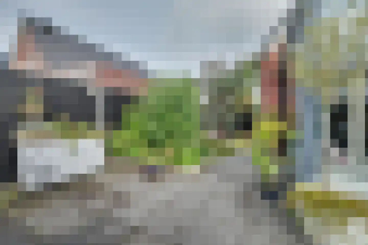 Jip en Janneke 19 Kapelle thumbnail 54