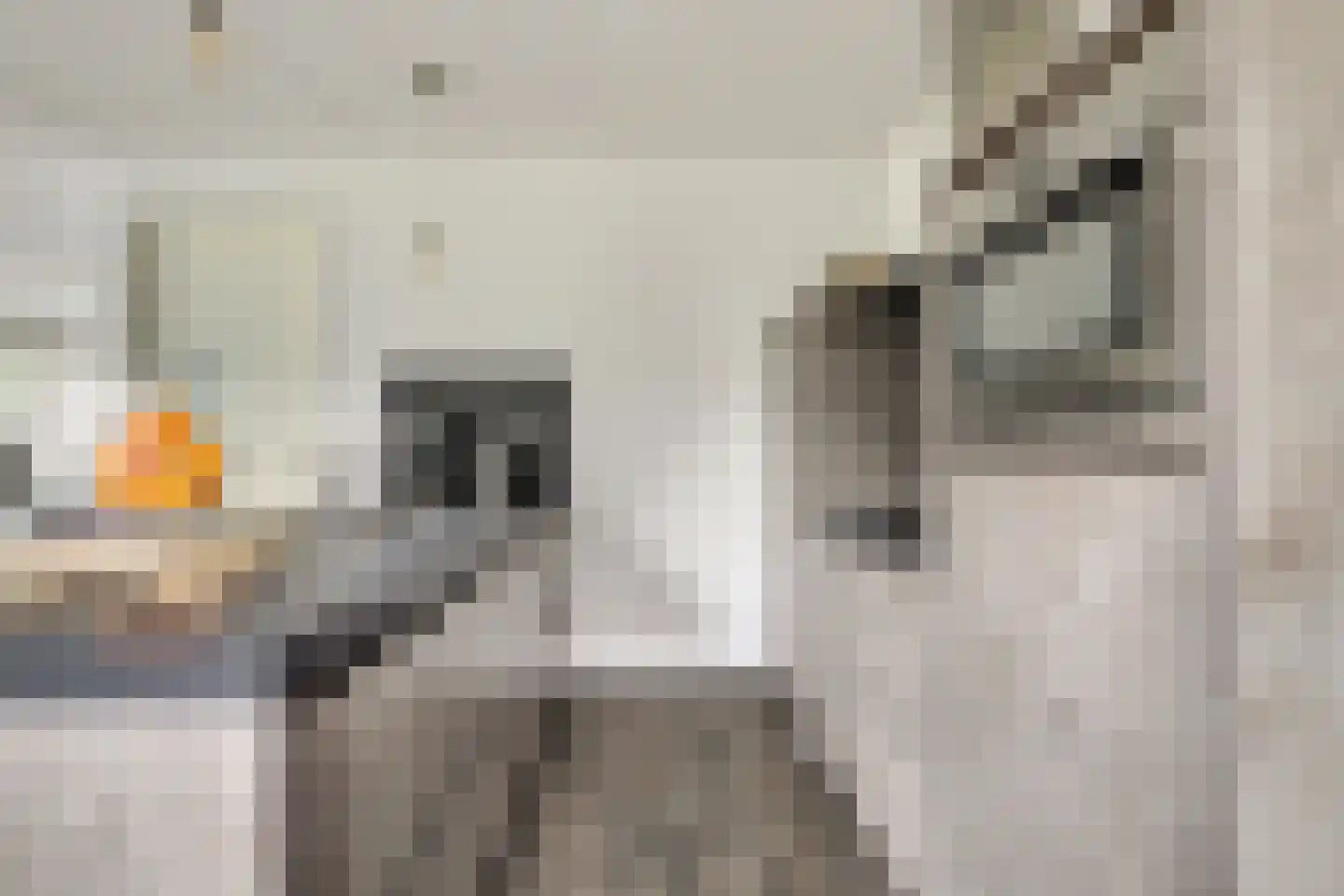 Jip en Janneke 21 Kapelle thumbnail 12