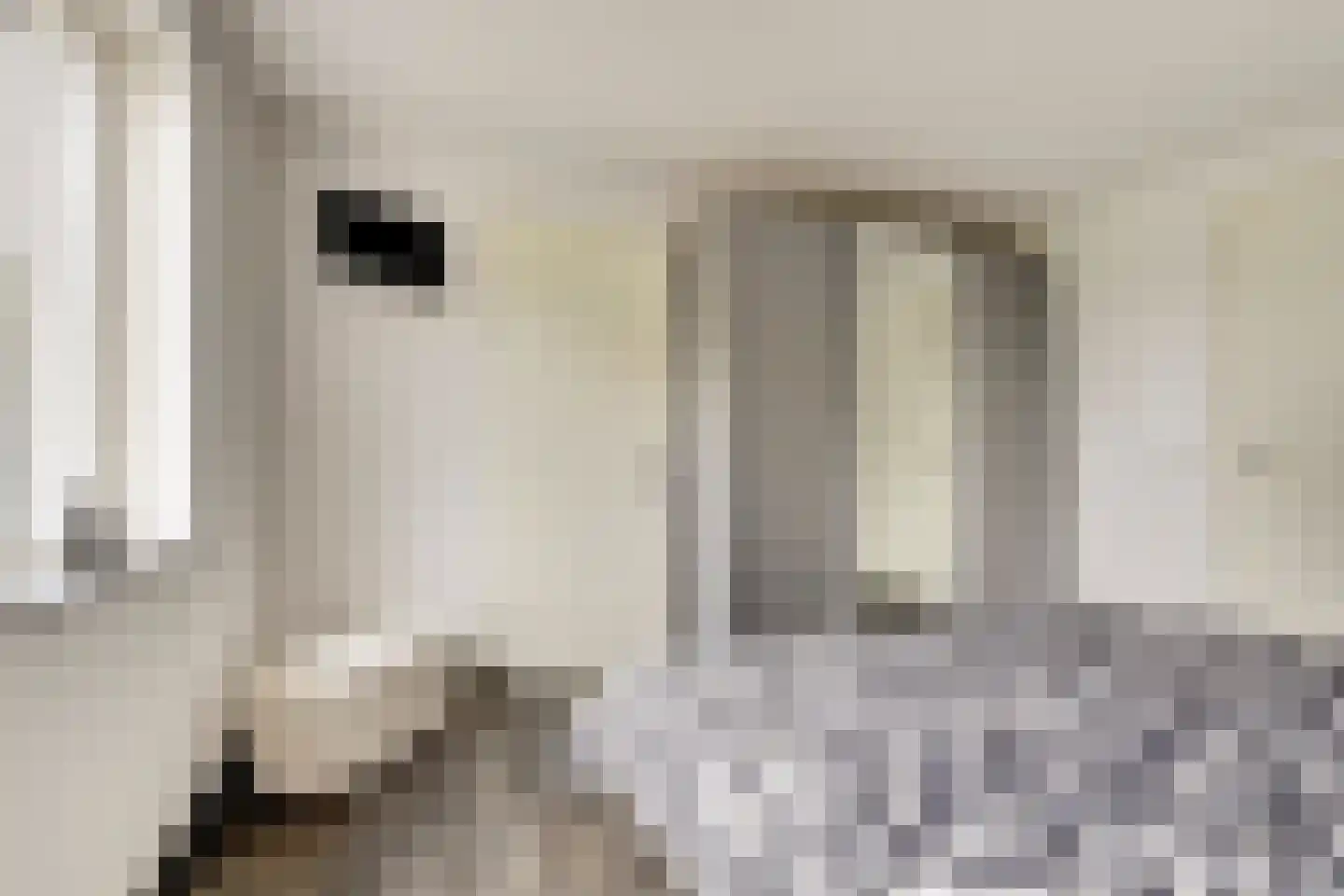 Jip en Janneke 21 Kapelle thumbnail 19