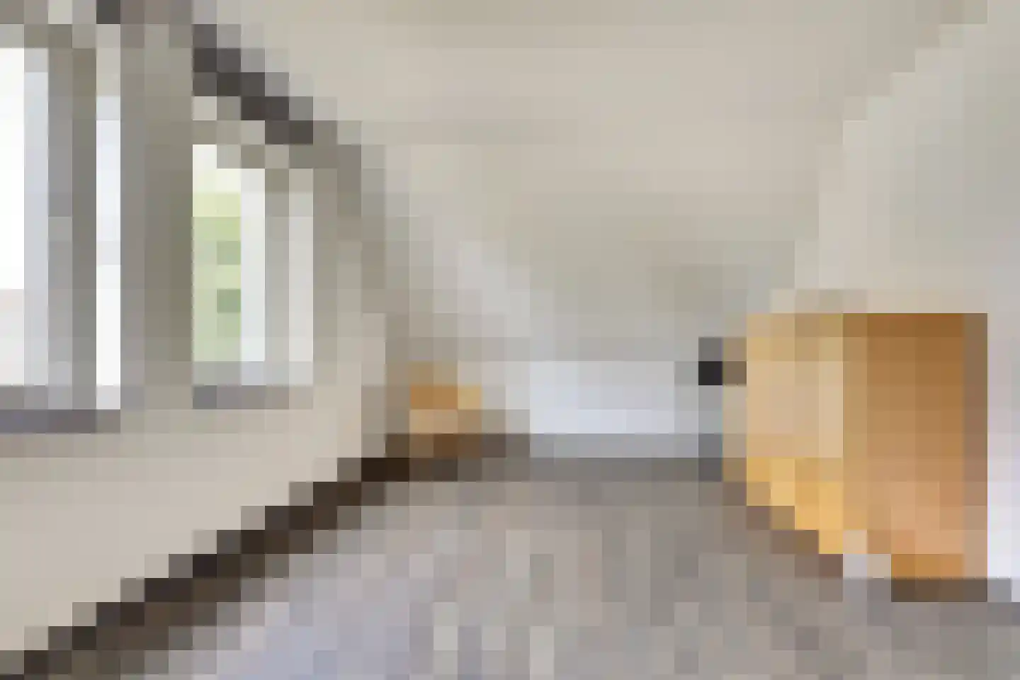 Jip en Janneke 21 Kapelle thumbnail 20