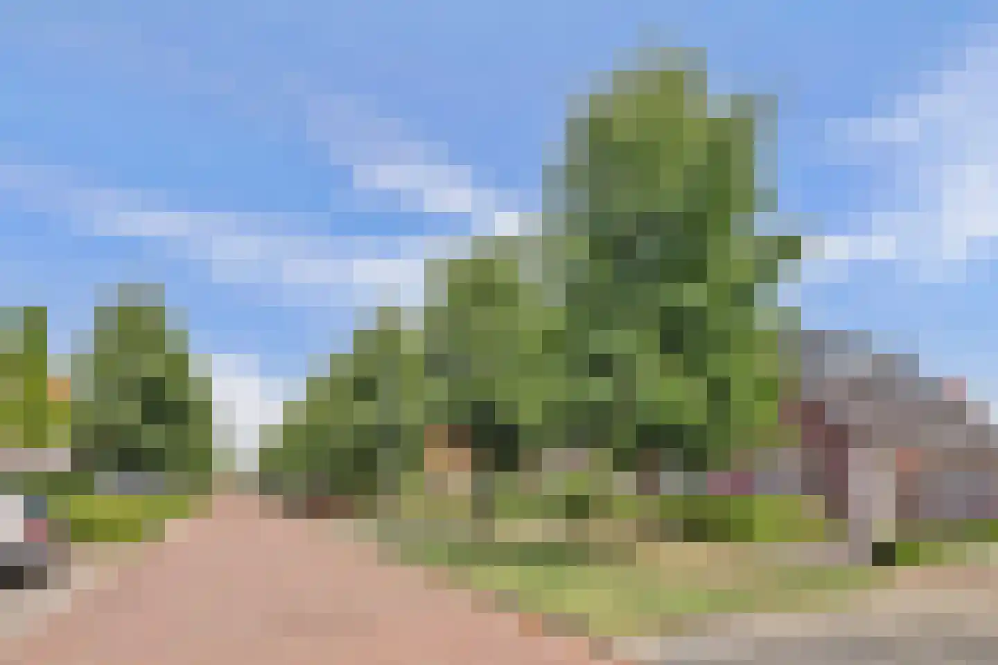 Jip en Janneke 21 Kapelle thumbnail 36