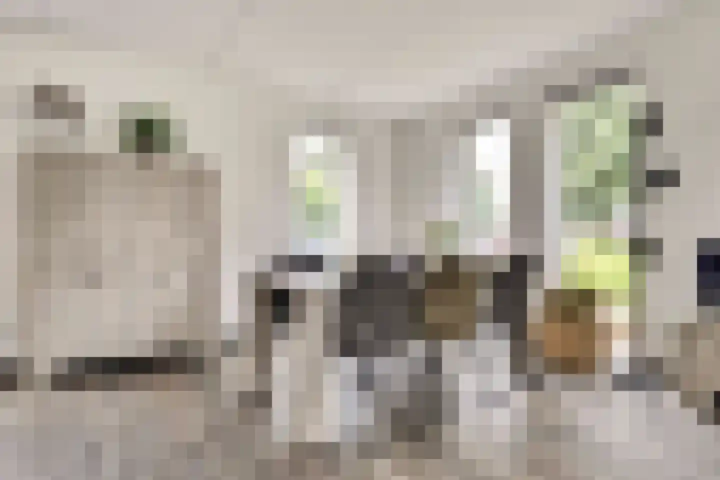Jip en Janneke 21 Kapelle thumbnail 8