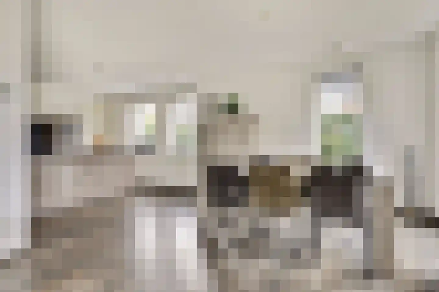 Jip en Janneke 21 Kapelle thumbnail 9
