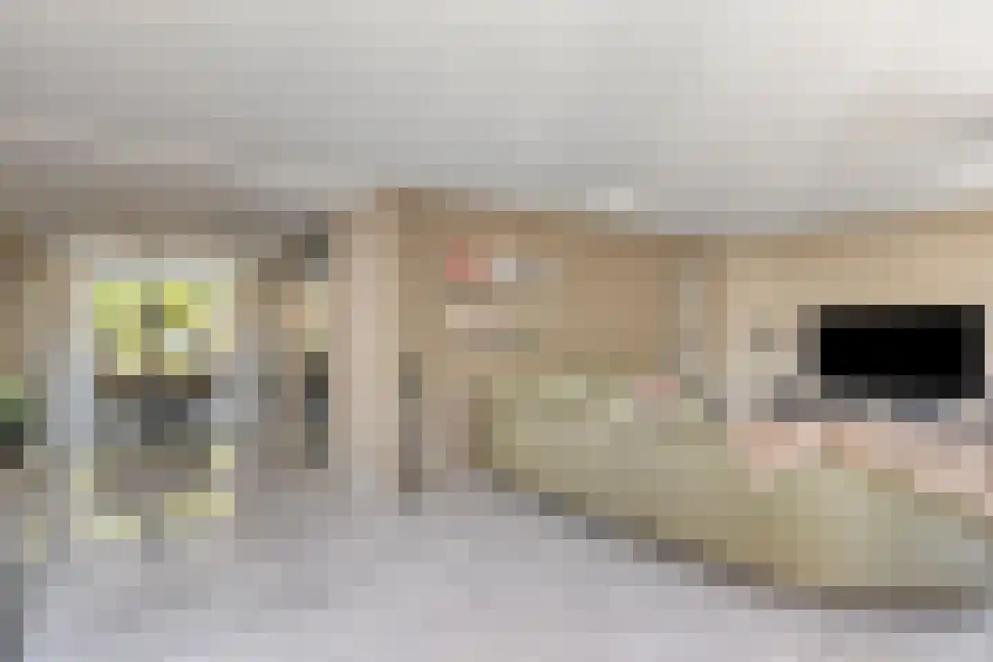 Jip en Janneke 40 Gorinchem thumbnail 10