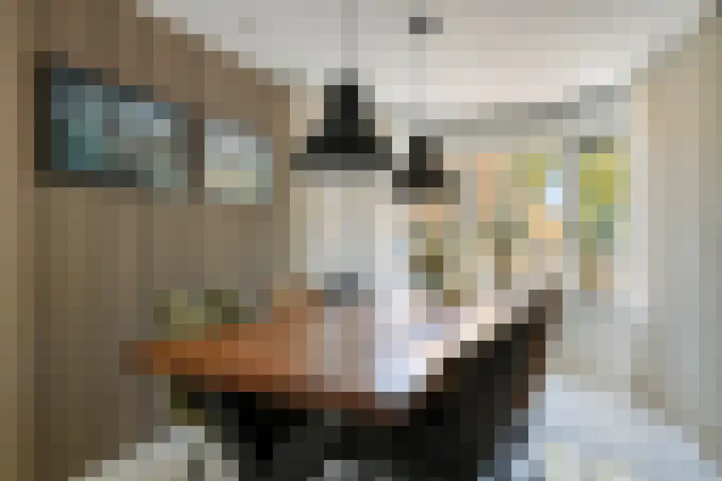 Jip en Janneke 40 Gorinchem thumbnail 12