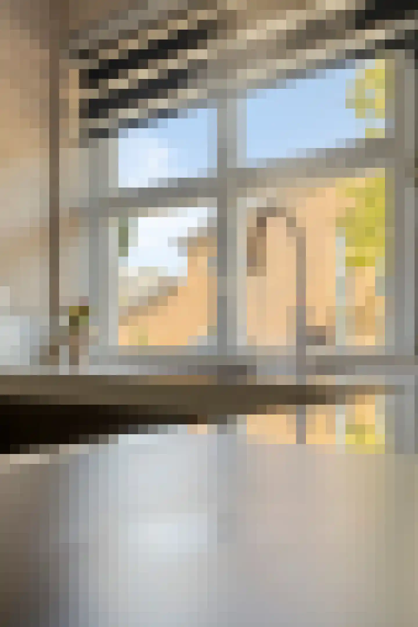 Jip en Janneke 40 Gorinchem thumbnail 16