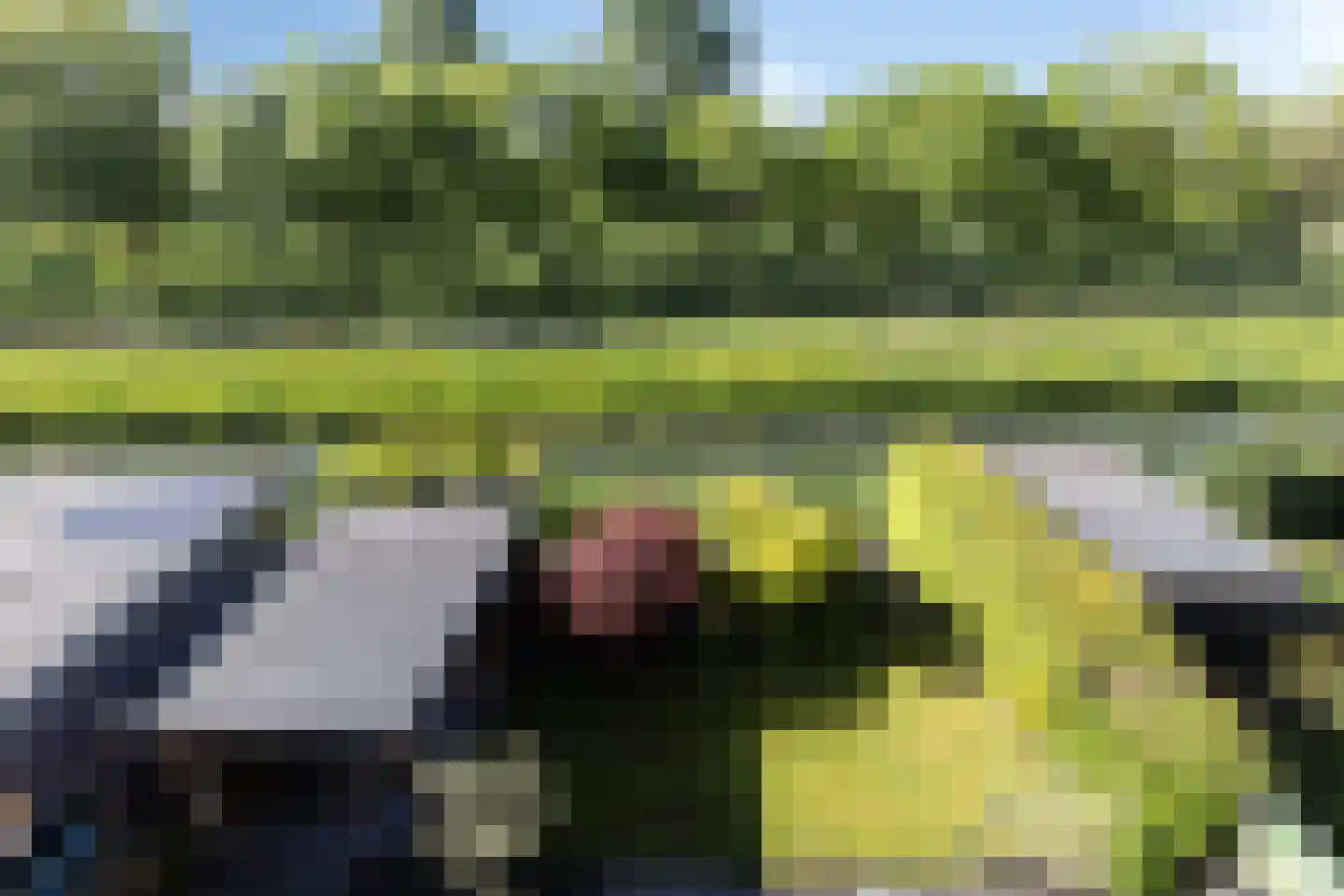 Jip en Janneke 40 Gorinchem thumbnail 27