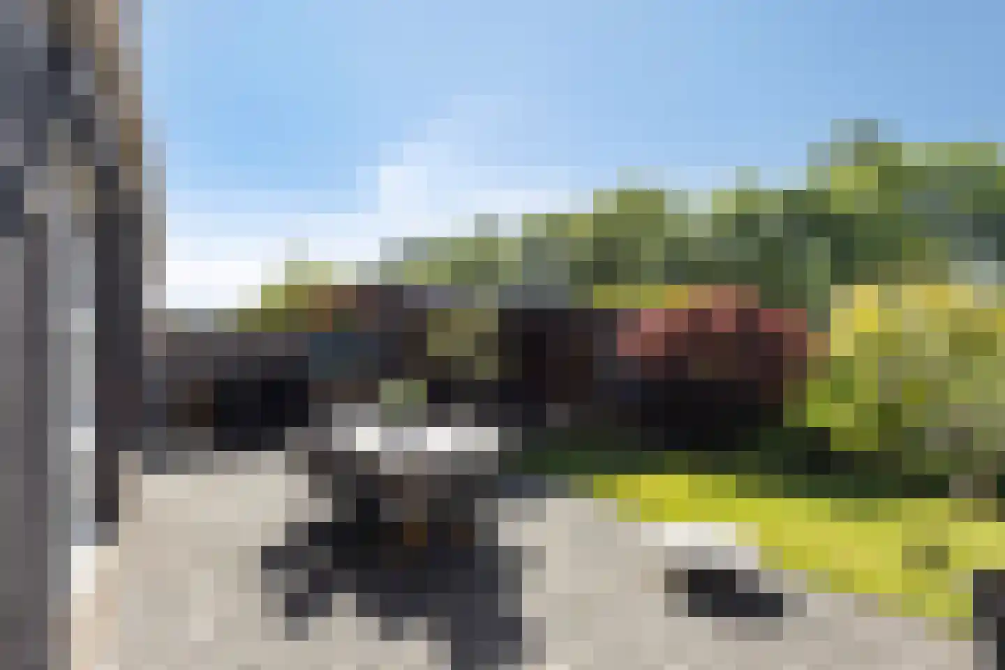 Jip en Janneke 40 Gorinchem thumbnail 28