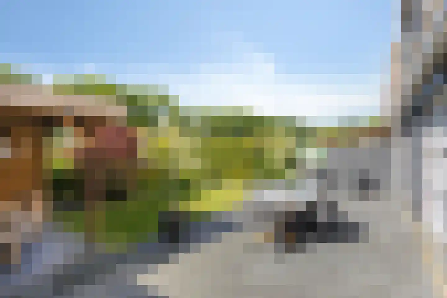 Jip en Janneke 40 Gorinchem thumbnail 29