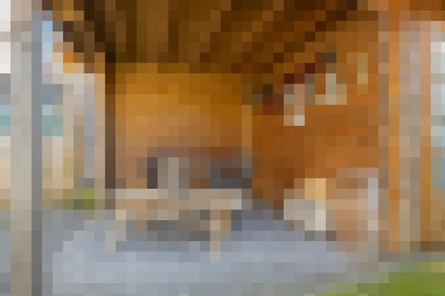 Jip en Janneke 40 Gorinchem thumbnail 30