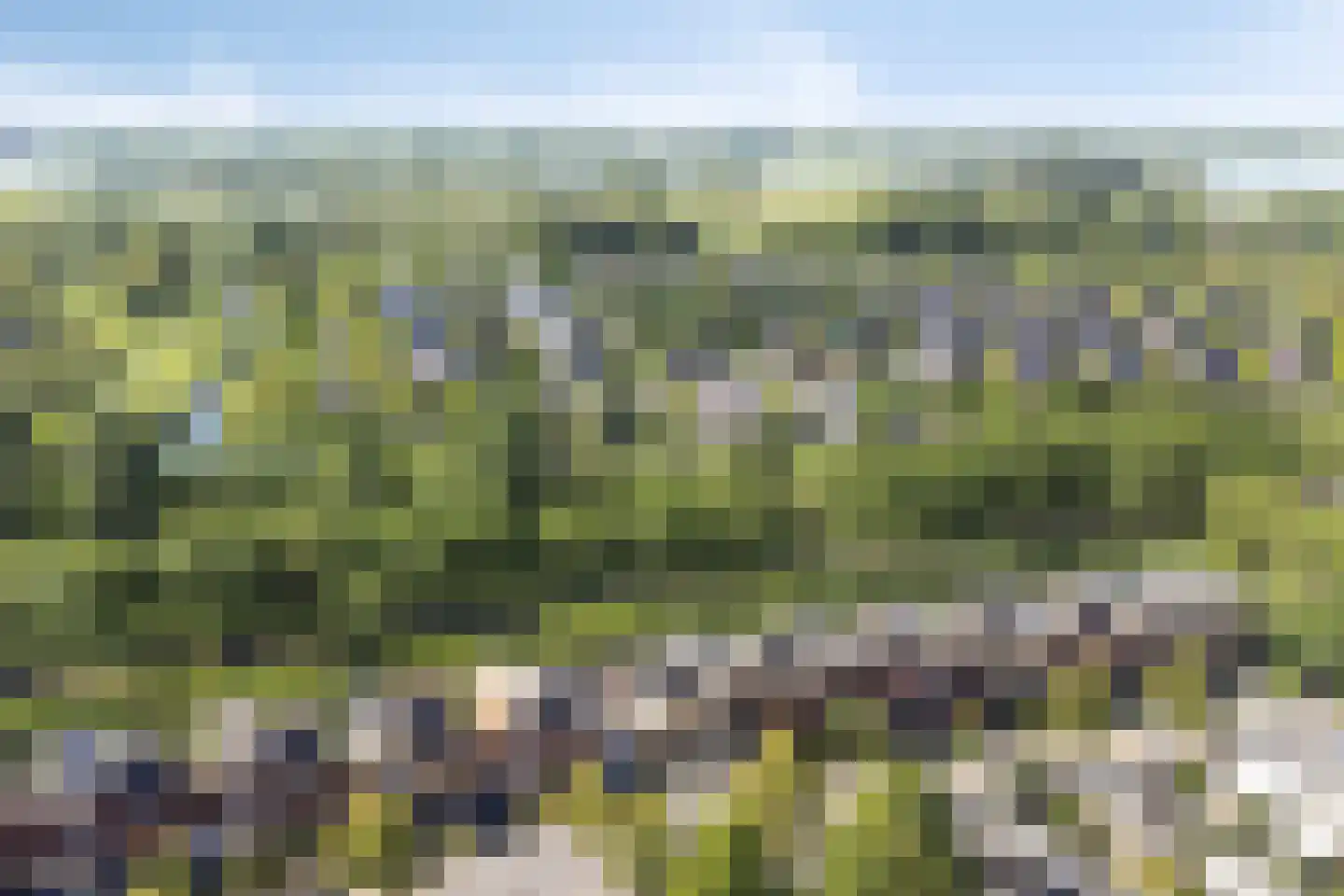 Jip en Janneke 40 Gorinchem thumbnail 33
