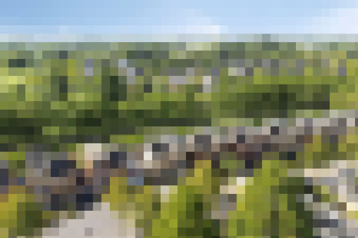Jip en Janneke 40 Gorinchem thumbnail 35