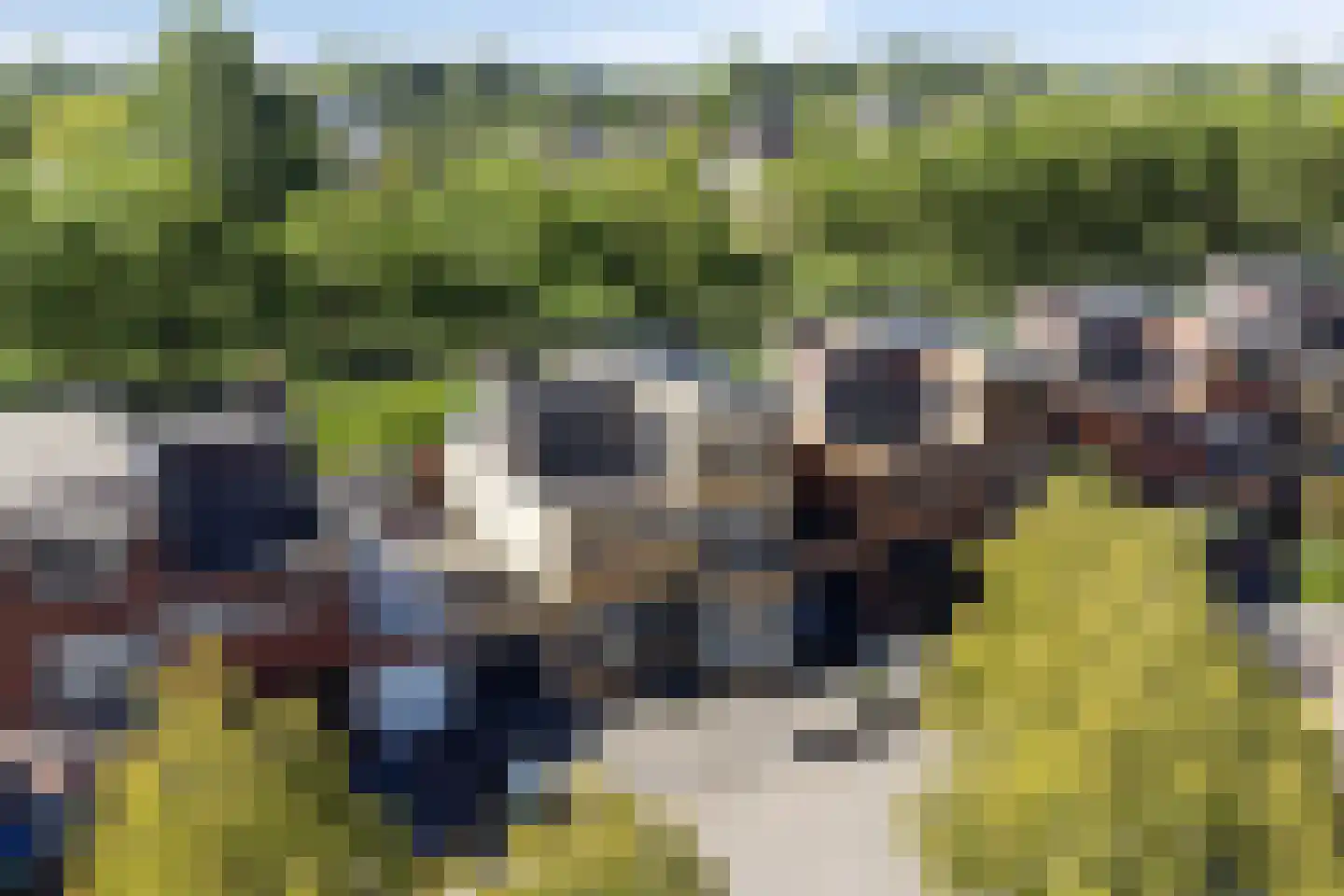 Jip en Janneke 40 Gorinchem thumbnail 36
