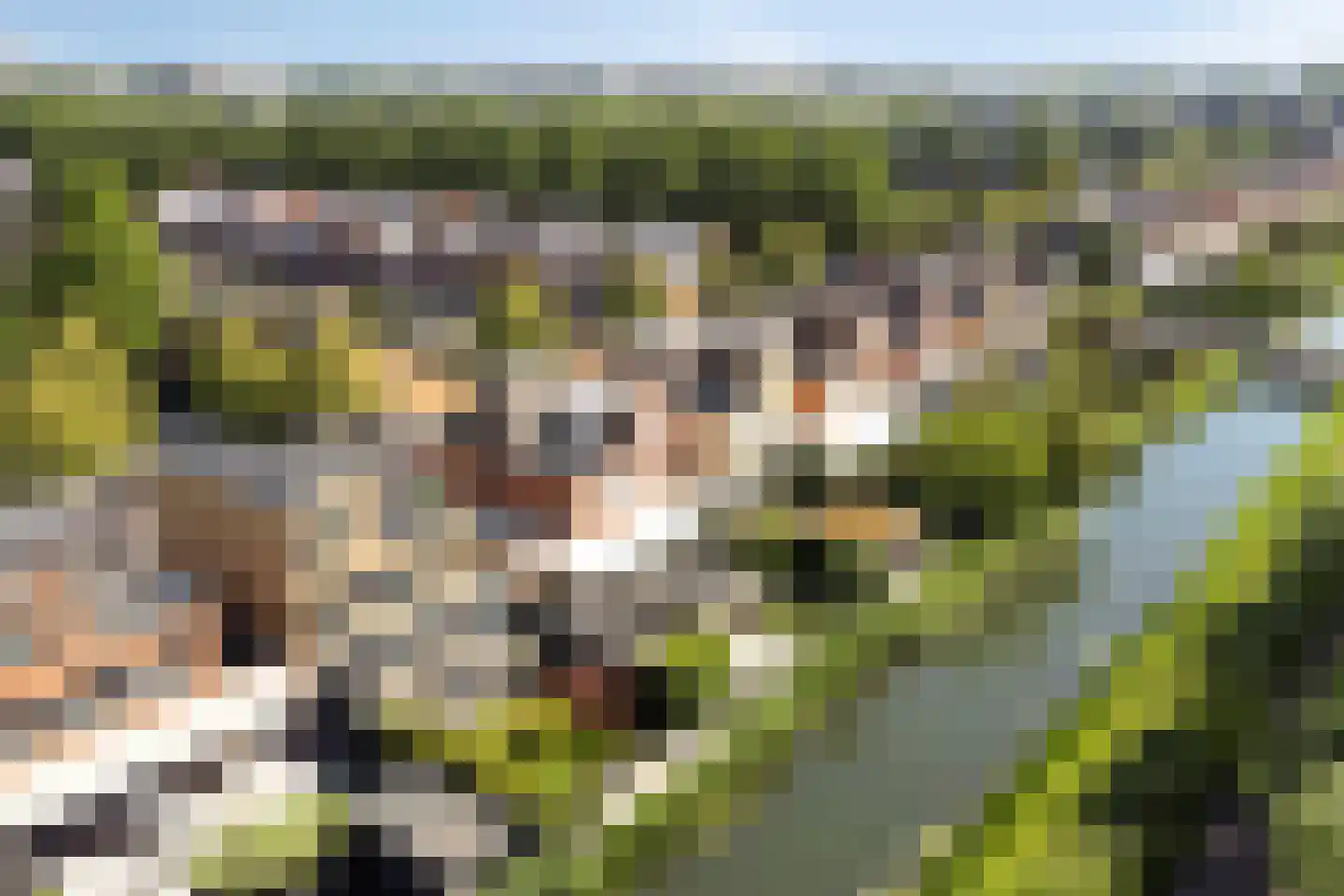 Jip en Janneke 40 Gorinchem thumbnail 37
