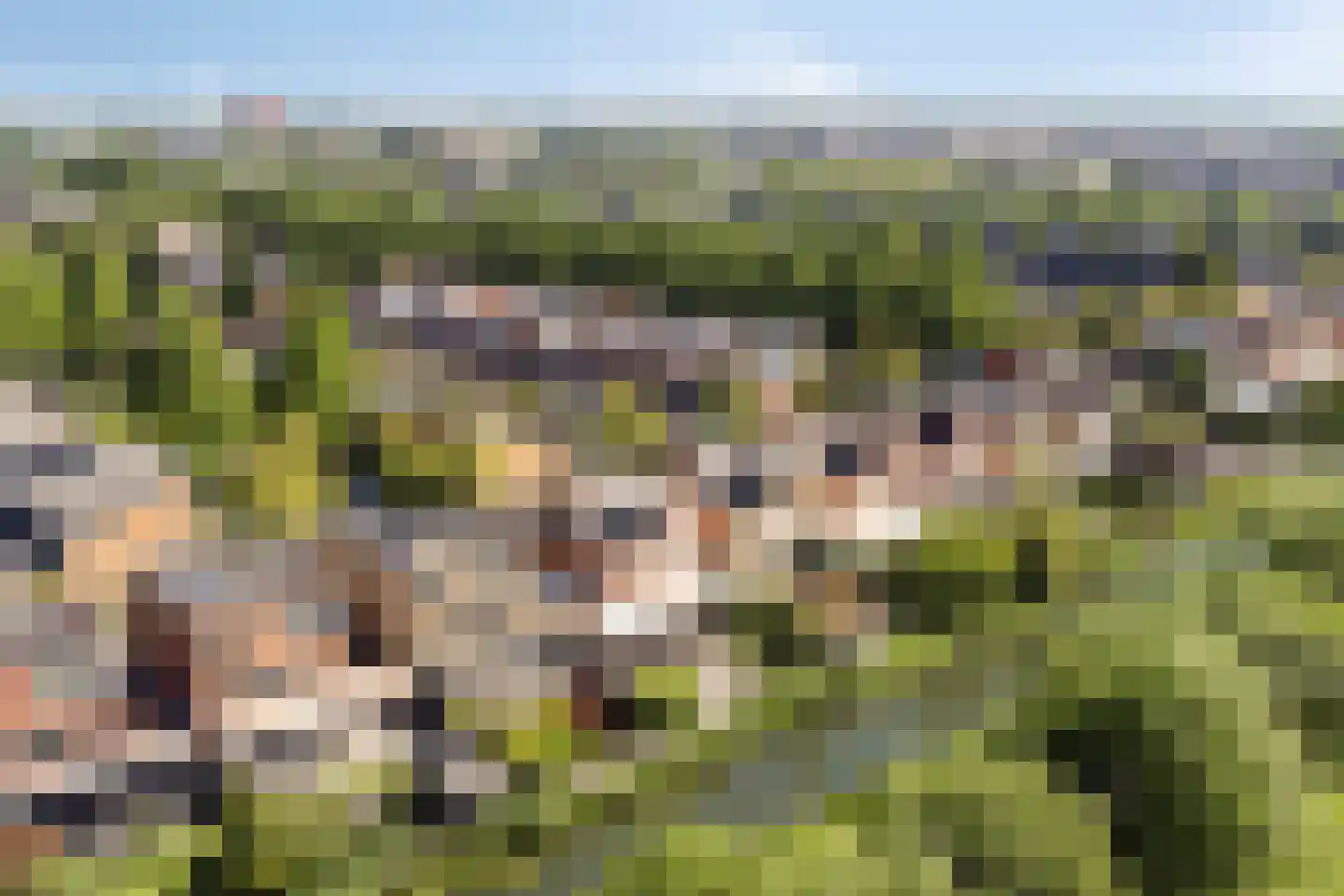 Jip en Janneke 40 Gorinchem thumbnail 38