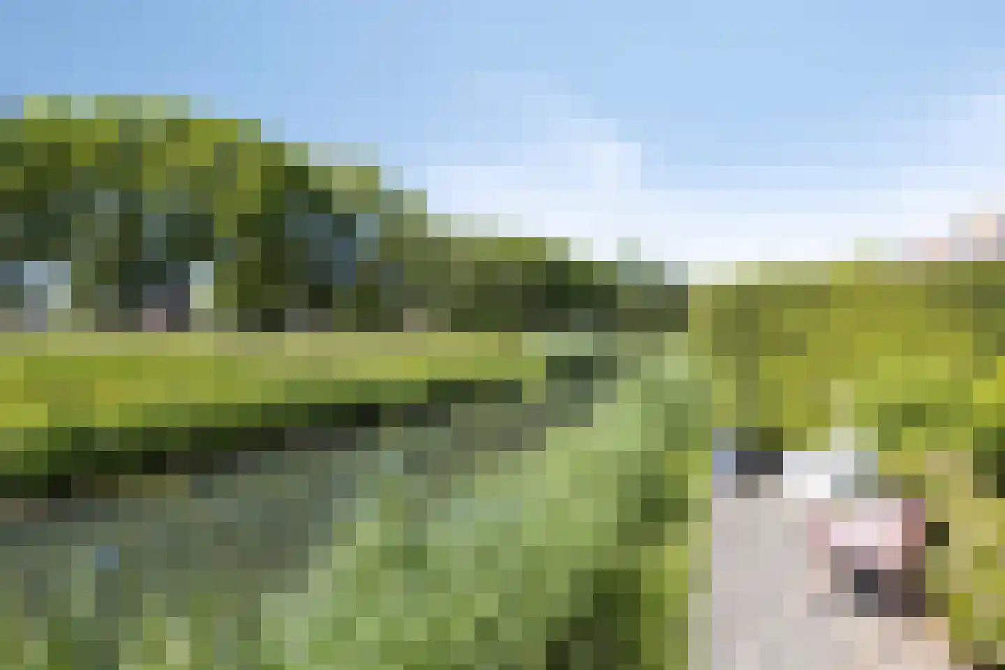 Jip en Janneke 40 Gorinchem thumbnail 39