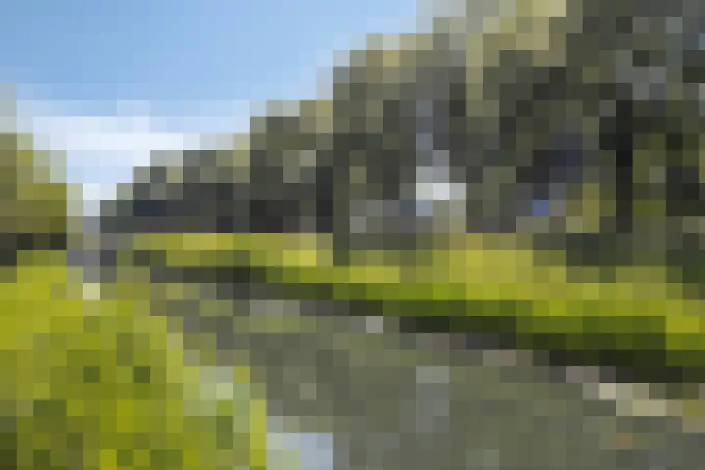 Jip en Janneke 40 Gorinchem thumbnail 40
