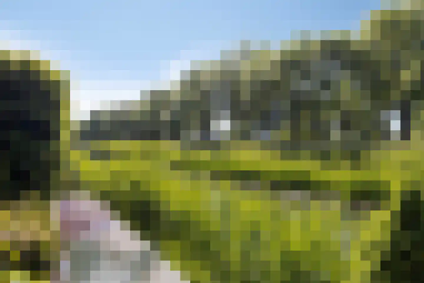 Jip en Janneke 40 Gorinchem thumbnail 5
