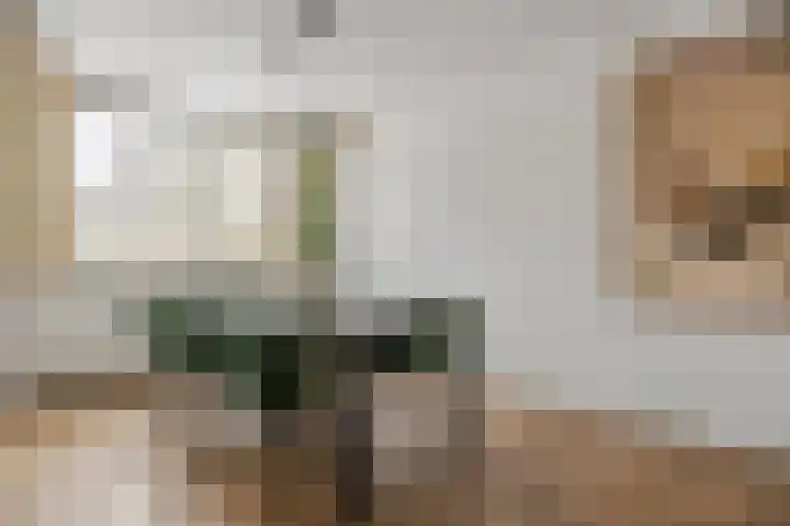 Jip en Janneke 8 Gorinchem thumbnail 16