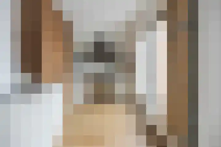 Jip en Janneke 8 Gorinchem thumbnail 18