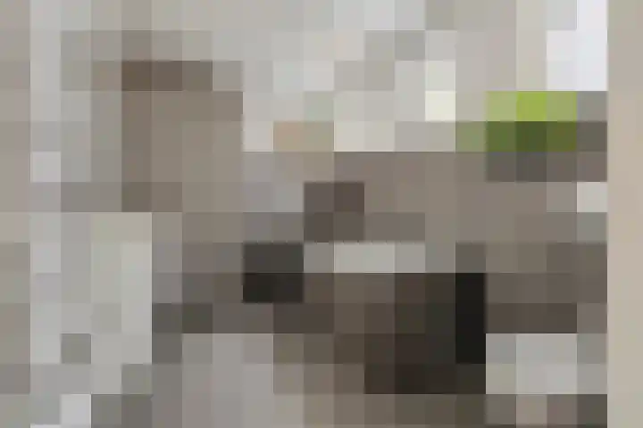 Jip en Janneke 8 Gorinchem thumbnail 23