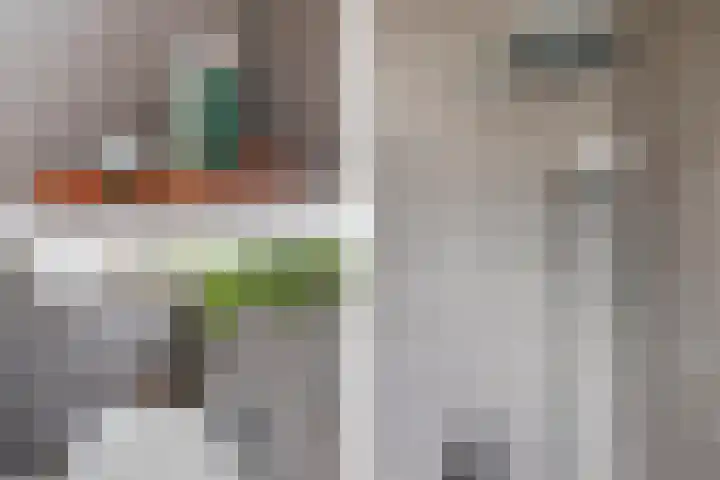 Jip en Janneke 8 Gorinchem thumbnail 24
