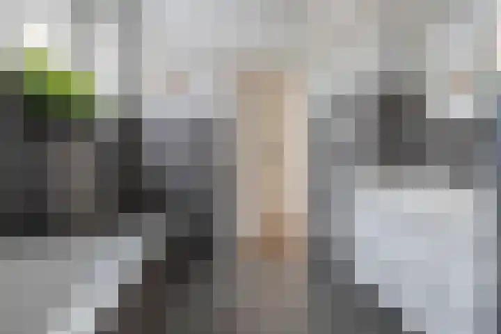 Jip en Janneke 8 Gorinchem thumbnail 25