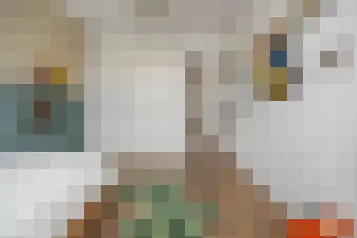 Jip en Janneke 8 Gorinchem thumbnail 29