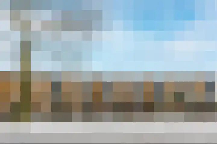 Jip en Janneke 8 Gorinchem thumbnail 31