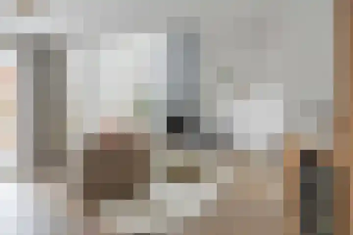 Jip en Janneke 8 Gorinchem thumbnail 5