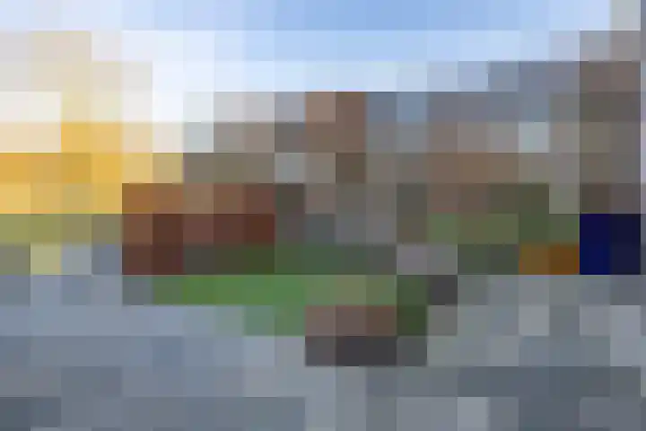 Jip en Janneke 8 Gorinchem thumbnail 8