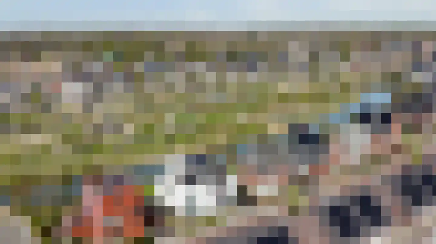 Jip en Jannekelaan 54 Zaltbommel thumbnail 39