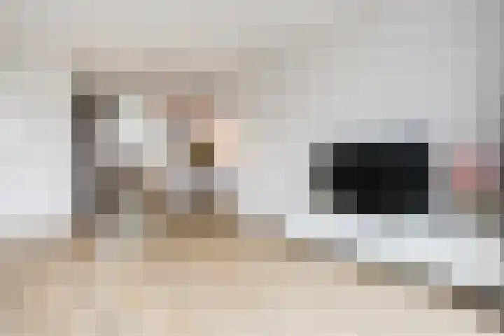 Jip en Jannekelaan 56 Zaltbommel thumbnail 14