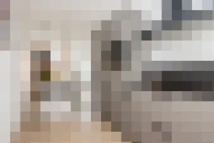 Jip en Jannekelaan 56 Zaltbommel thumbnail 19