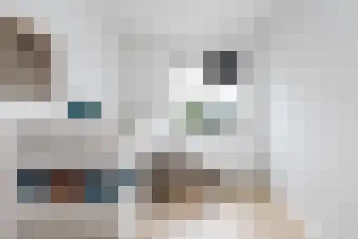 Jip en Jannekelaan 56 Zaltbommel thumbnail 29