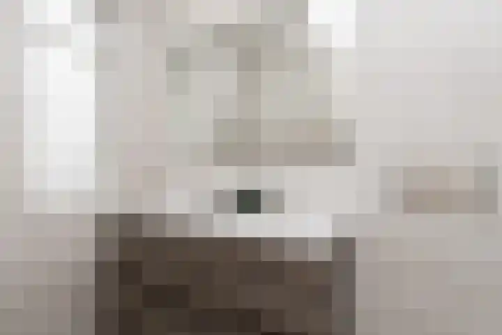 Jip en Jannekelaan 56 Zaltbommel thumbnail 33