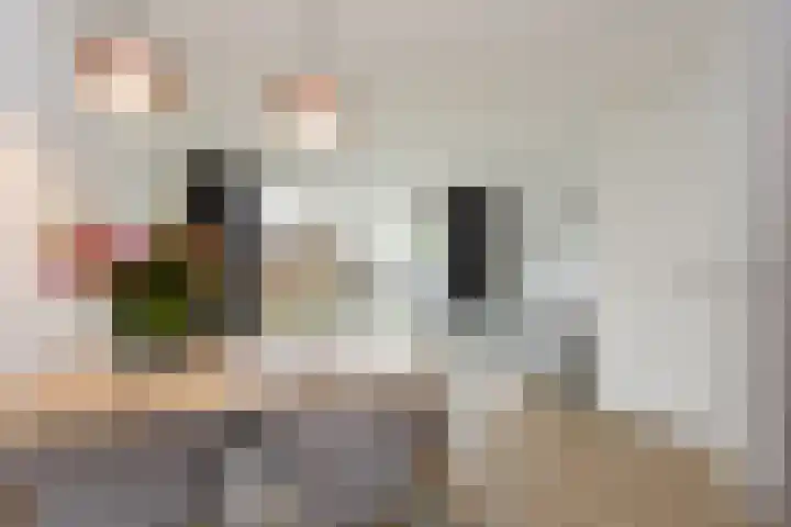 Jip en Jannekelaan 56 Zaltbommel thumbnail 4