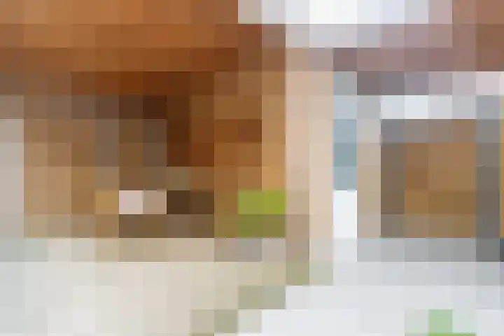 Jip en Jannekelaan 56 Zaltbommel thumbnail 43