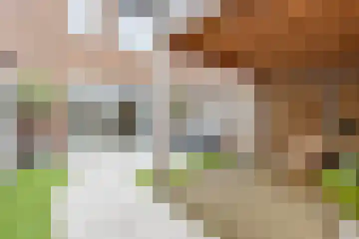 Jip en Jannekelaan 56 Zaltbommel thumbnail 44
