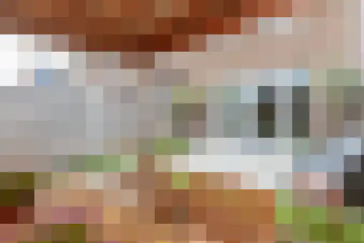 Jip en Jannekelaan 56 Zaltbommel thumbnail 46