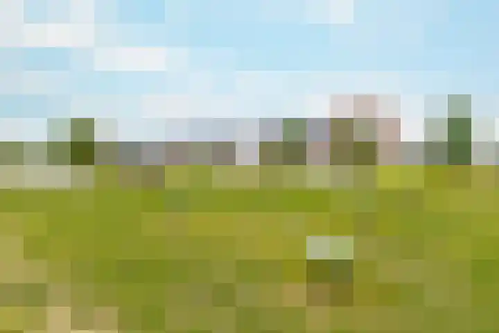 Jip en Jannekelaan 56 Zaltbommel thumbnail 55